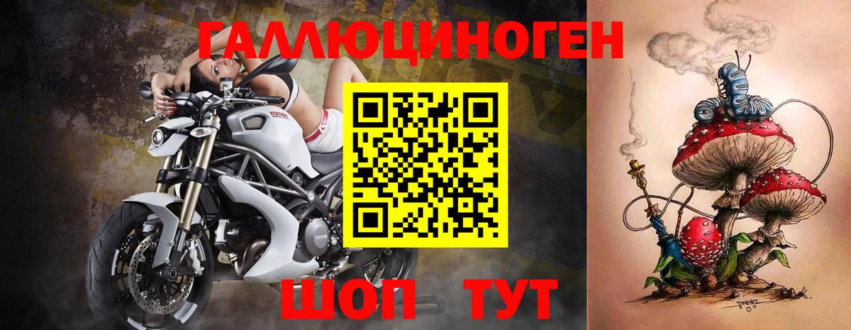 Псилоцибиновые грибы Cubensis Биробиджан